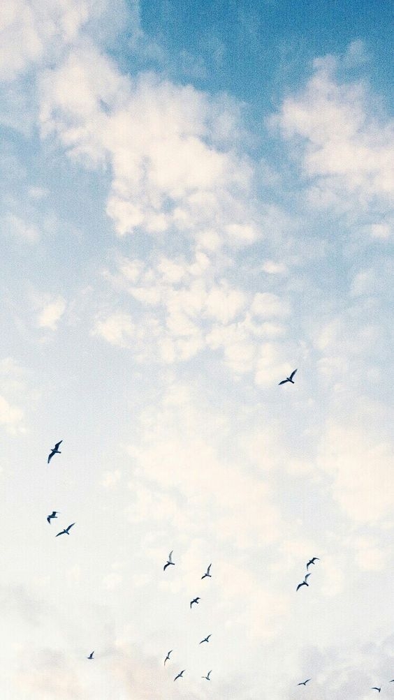 Pinterest