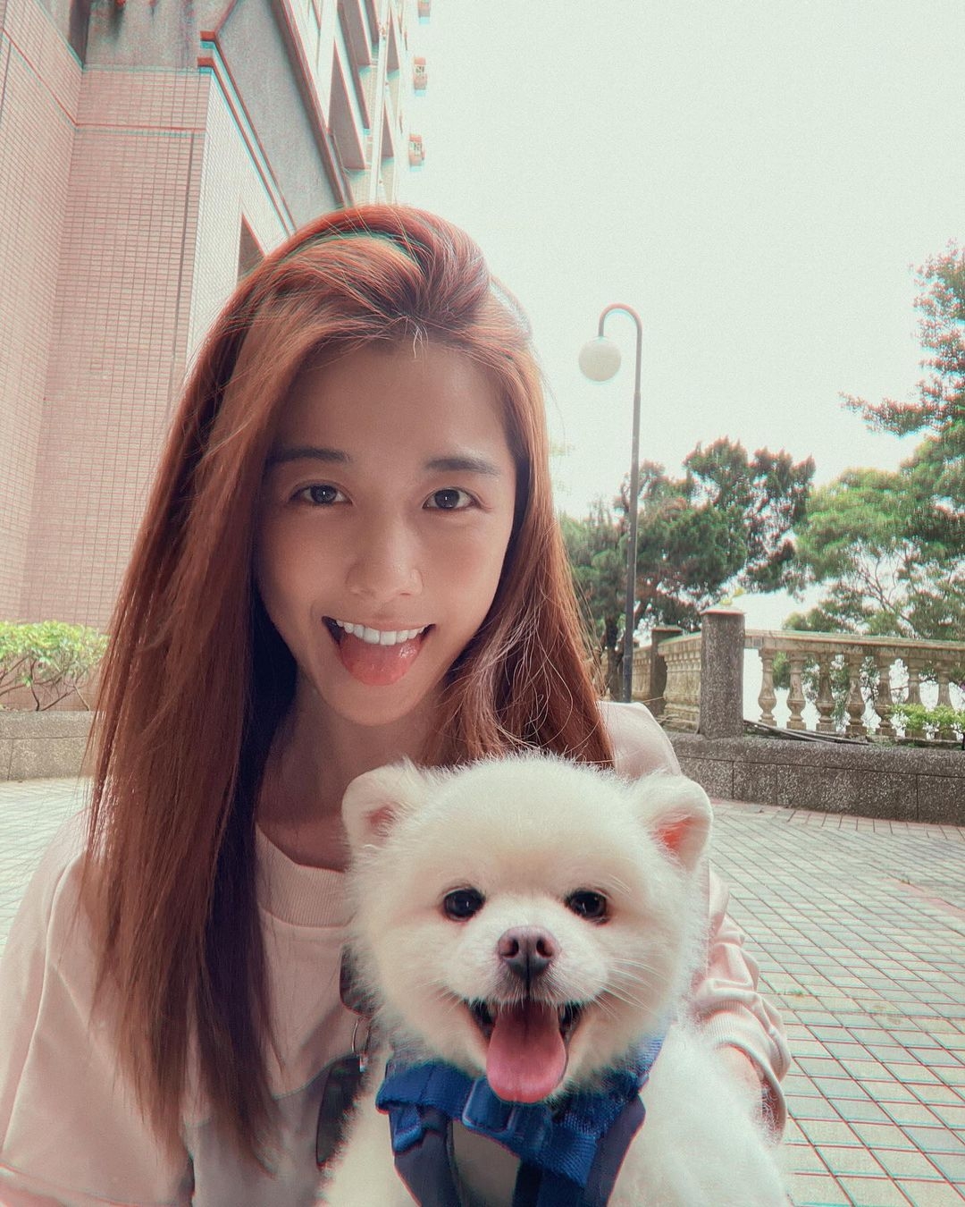 IG@1989ivyshao