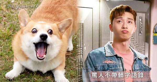 如何有教養又霸氣地罵人？教妳25句「罵人不帶髒字」語錄，聰明KO那些浪費空氣的小垃圾