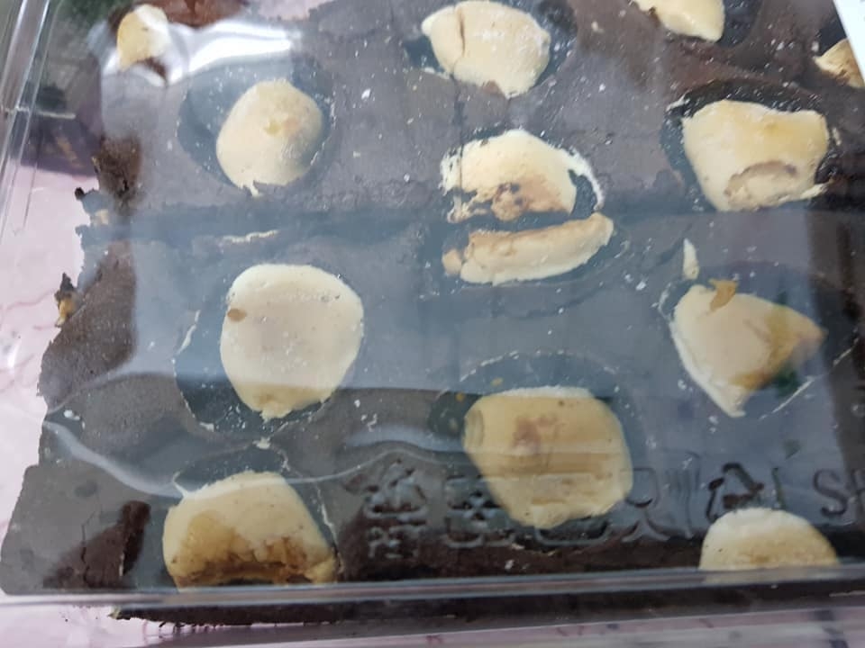 COSTCO 好市多 消費經驗分享區