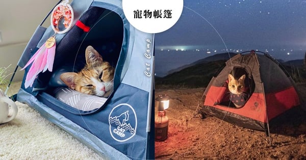 寵物專屬帳篷！喵星人專用『耐刮防水帳篷』來了～超大空間狗狗也可以一起睡♥