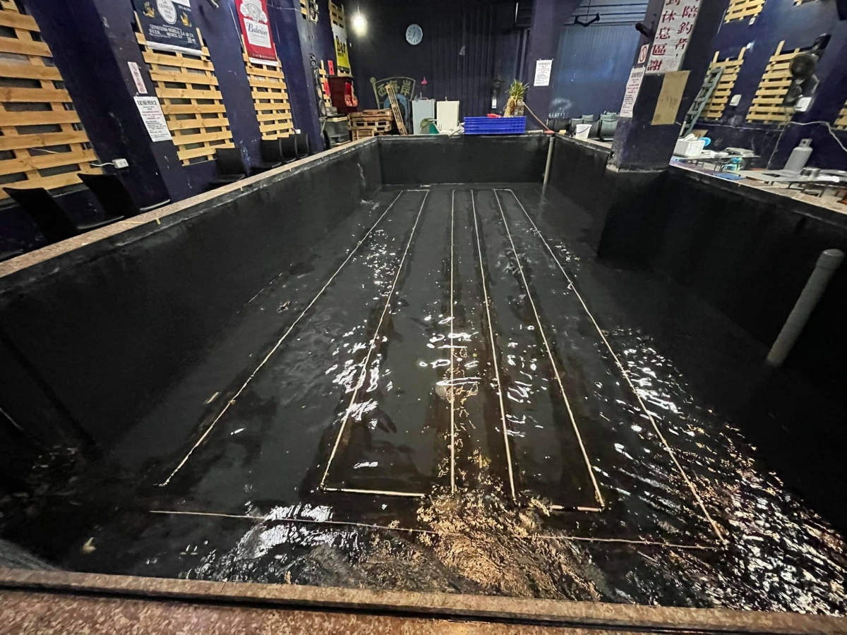 沙鹿西海岸釣蝦場