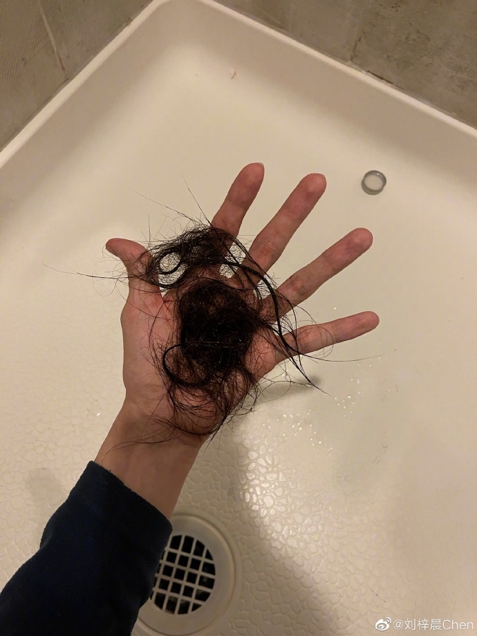 Weibo@刘梓晨Chen