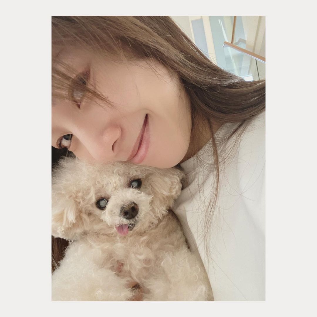 197574240_157206729650555_2002854511222318878_n