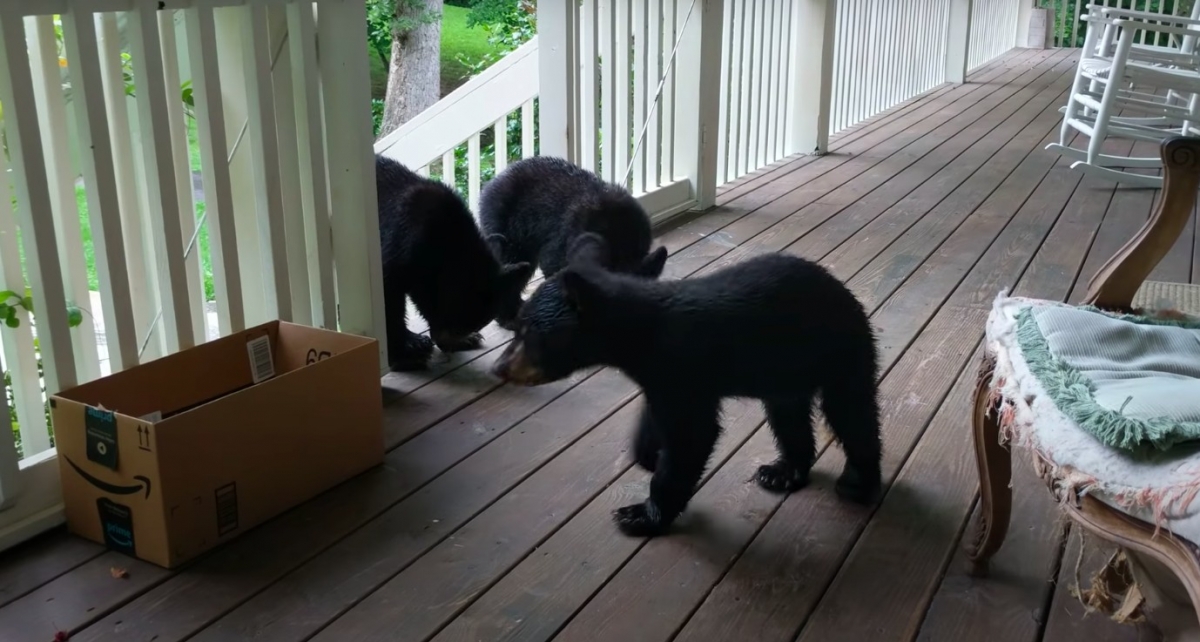 YouTube@Patrick Conley