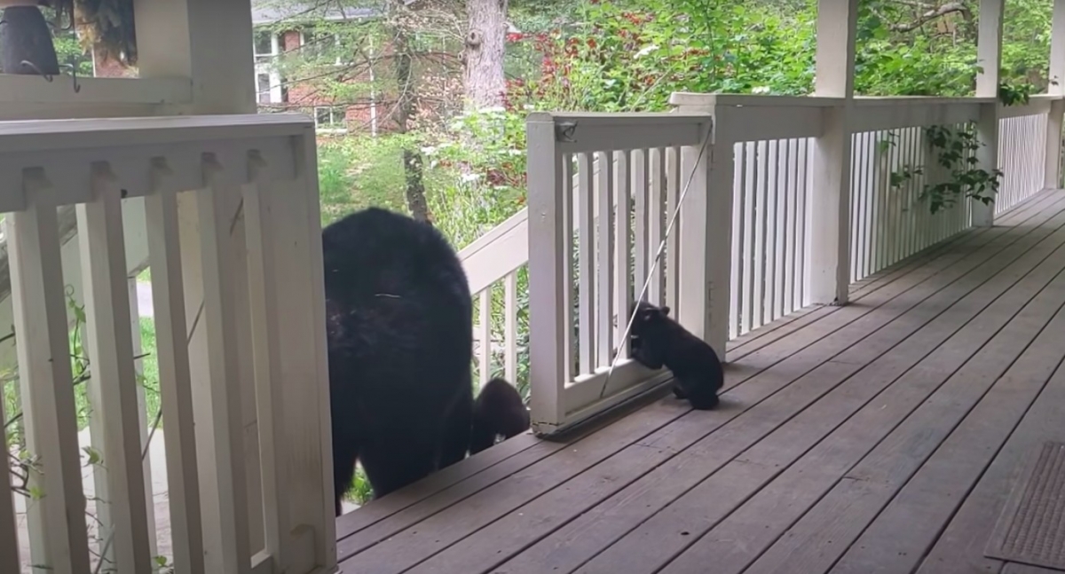 YouTube@Patrick Conley