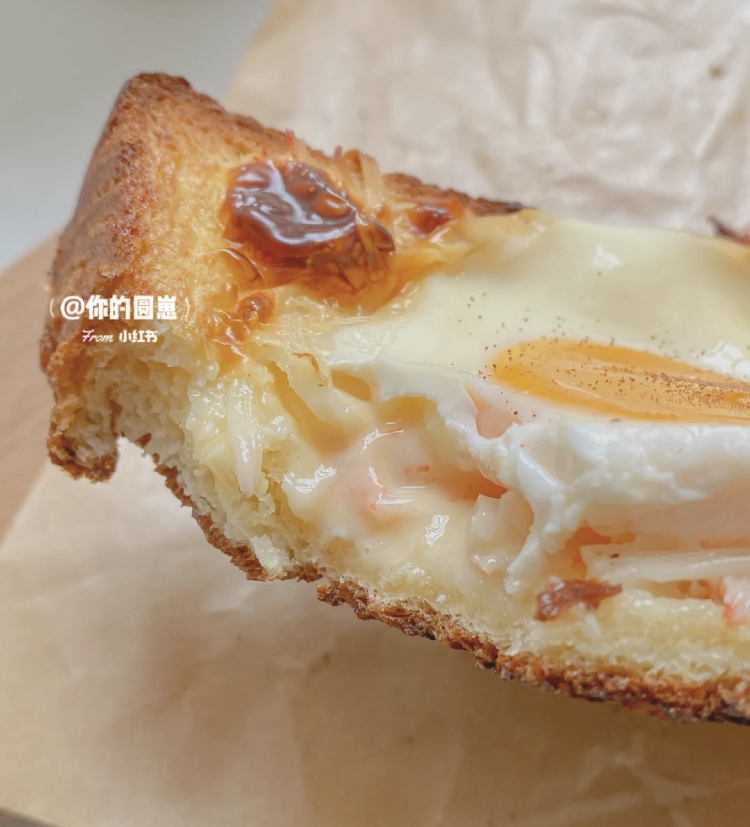 小紅書@你的圓崽