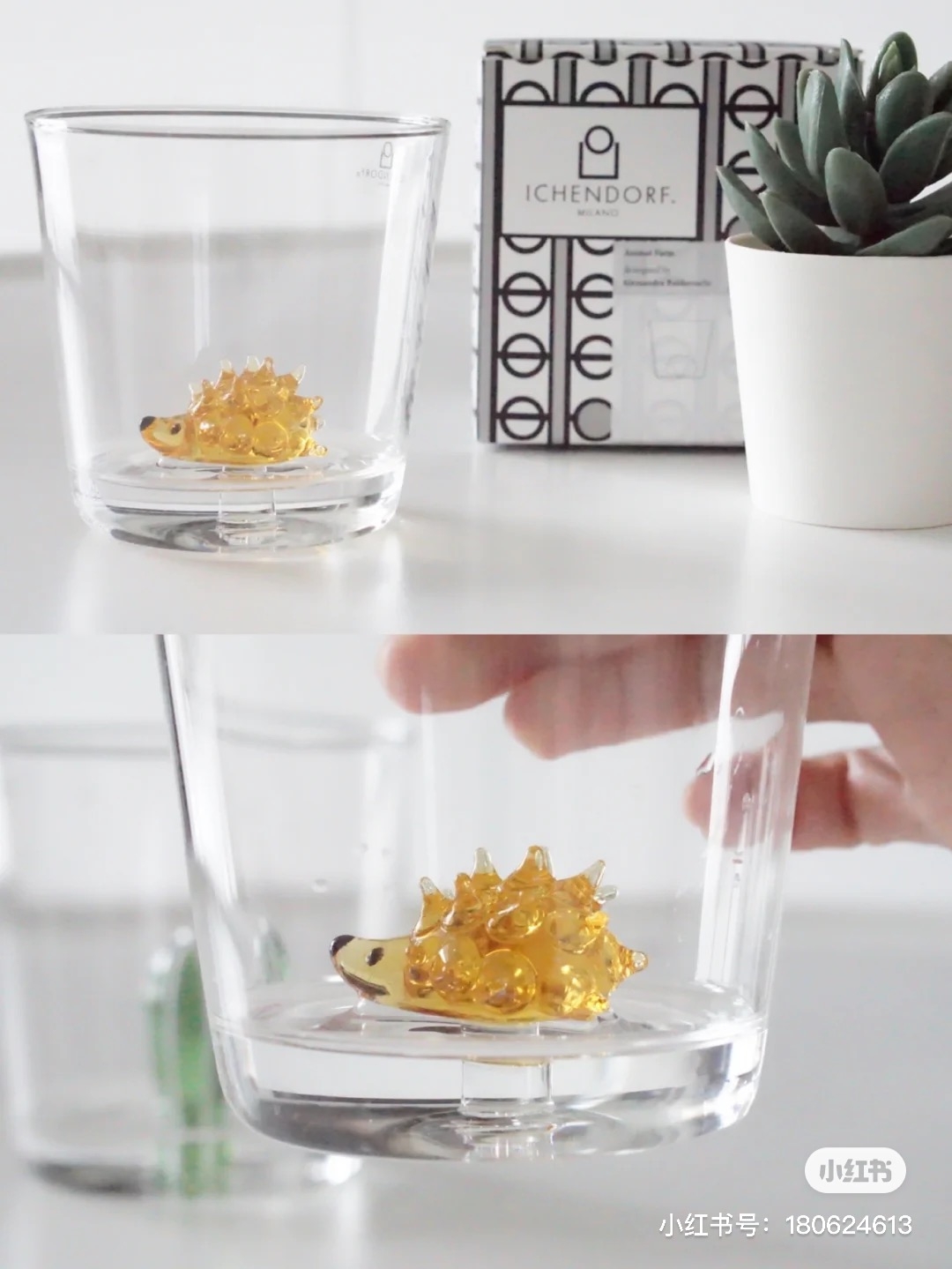 ICHENDORF刺蝟杯玻璃刺蝟水杯推薦可愛必買2021