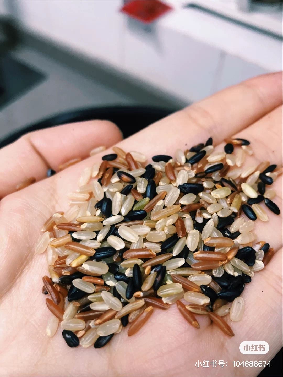 糙米斷食糙米排毒方法糙米減肥營養