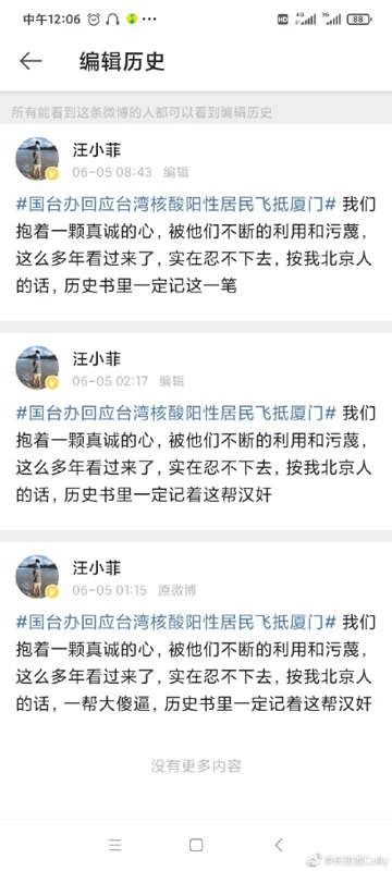 汪直爽性格失言不斷談兩岸必引爆!