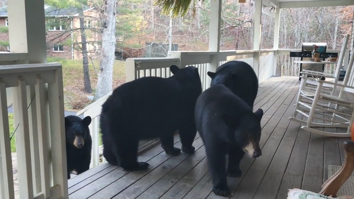 YouTube@Patrick Conley