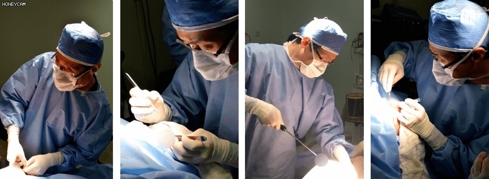 雅典娜整形外科診所