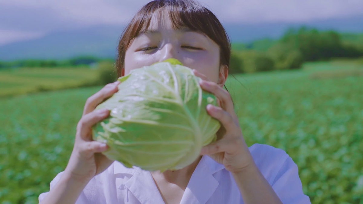 醋高麗菜減肥日本最新減肥法2021