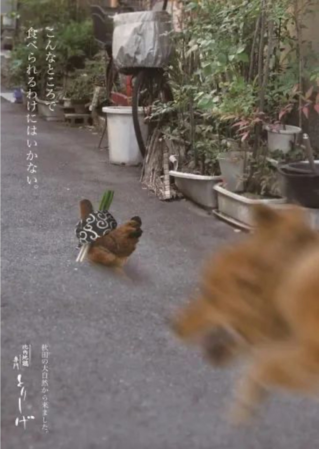 200張超有梗海報,救活!阿伯:『再不設計,我要死了。』