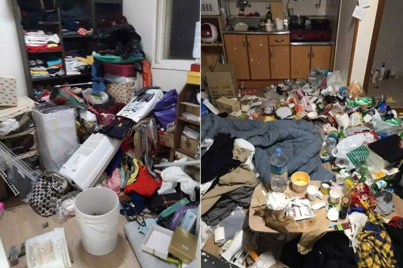 FB@대학생 너구리