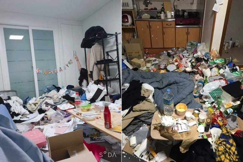 FB@대학생 너구리