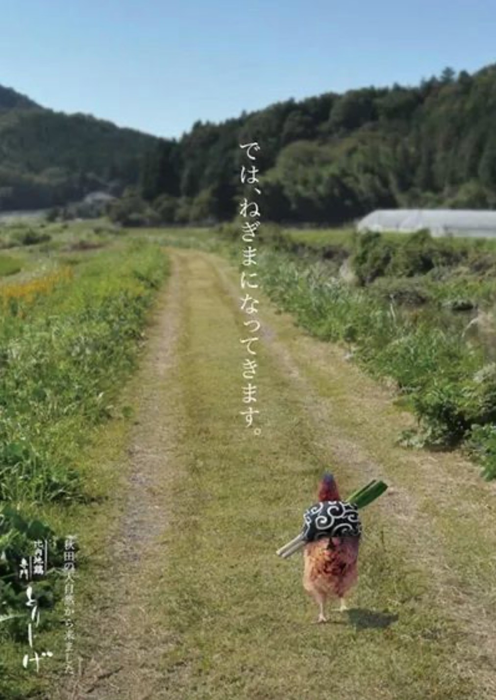 200張超有梗海報,救活!阿伯:『再不設計,我要死了。』