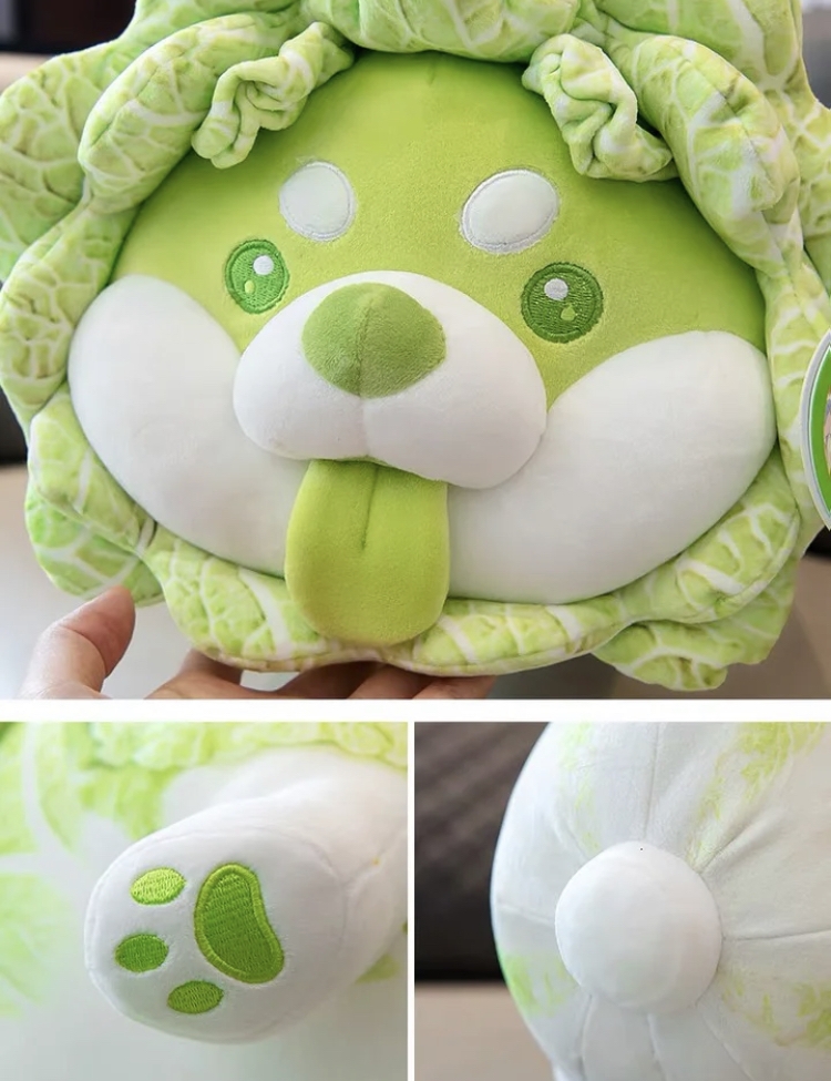 小紅書@它叫萱萱