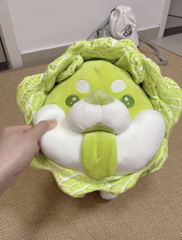 小紅書@我是阿板啊