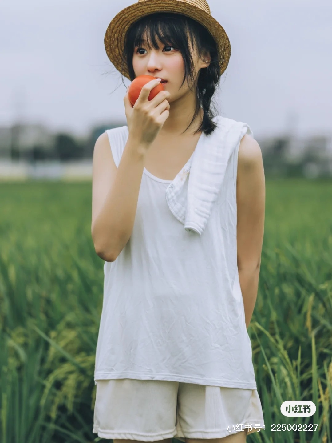 夜間番茄減肥法快速瘦身番茄減重