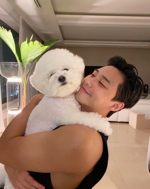 IG@bn_sj2013