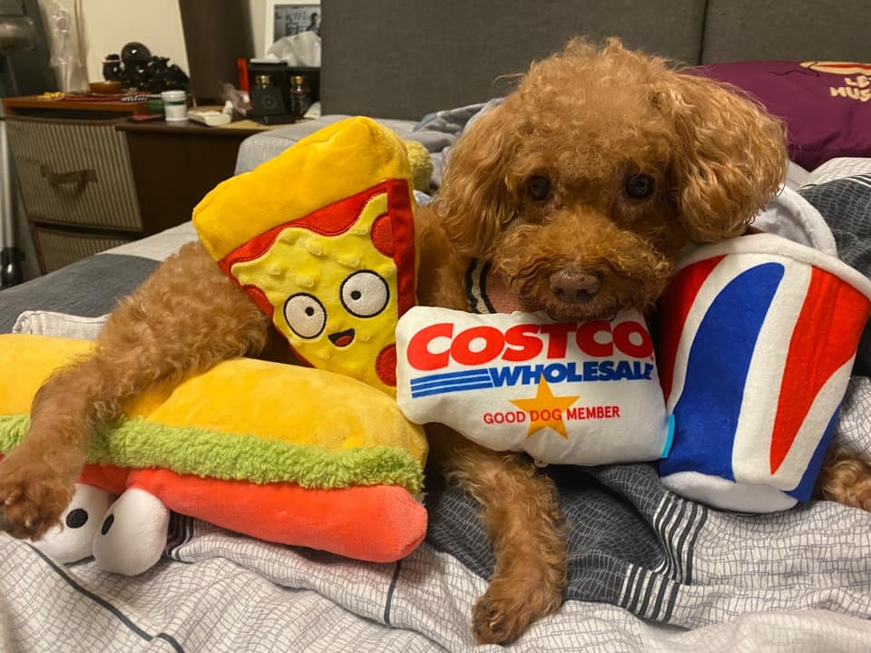 FB@Costco好市多 商品經驗老實說_陳雅苑