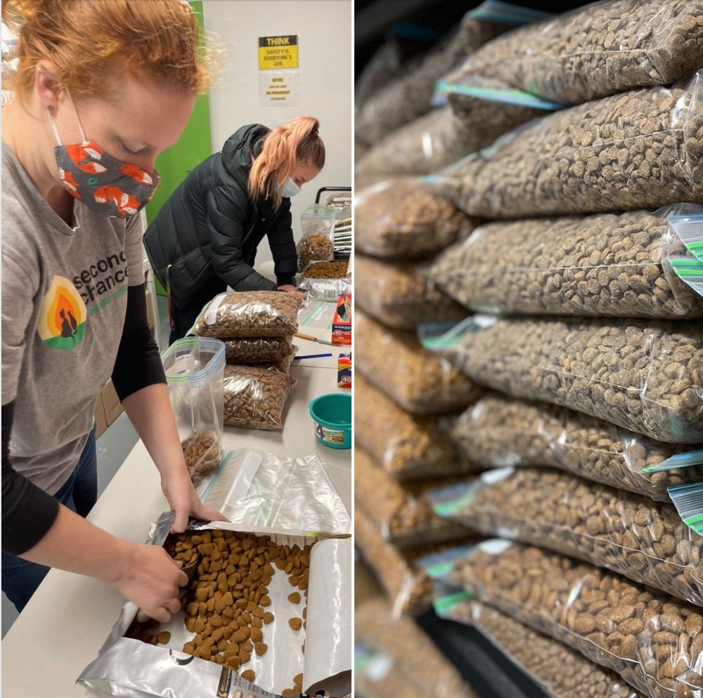 Second Chance Animal Rescue Inc.