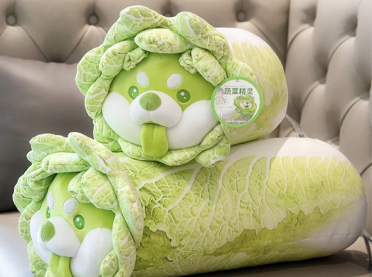 小紅書@愛玩具的小小A