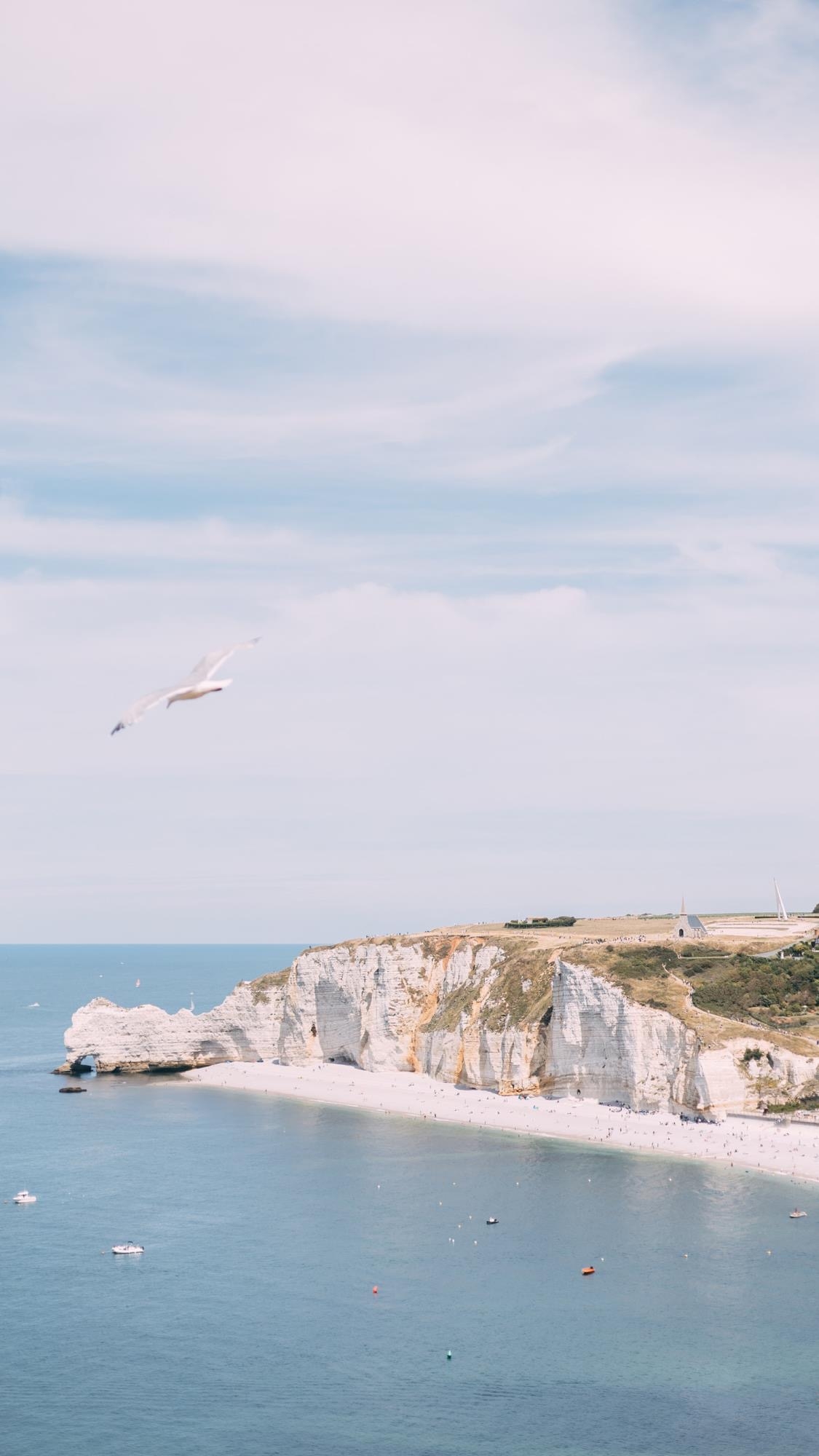 Wallpapers & Fancy Themes