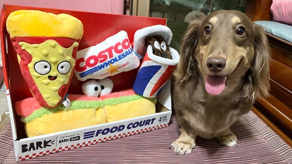 FB@Costco好市多 商品經驗老實說_江淑君