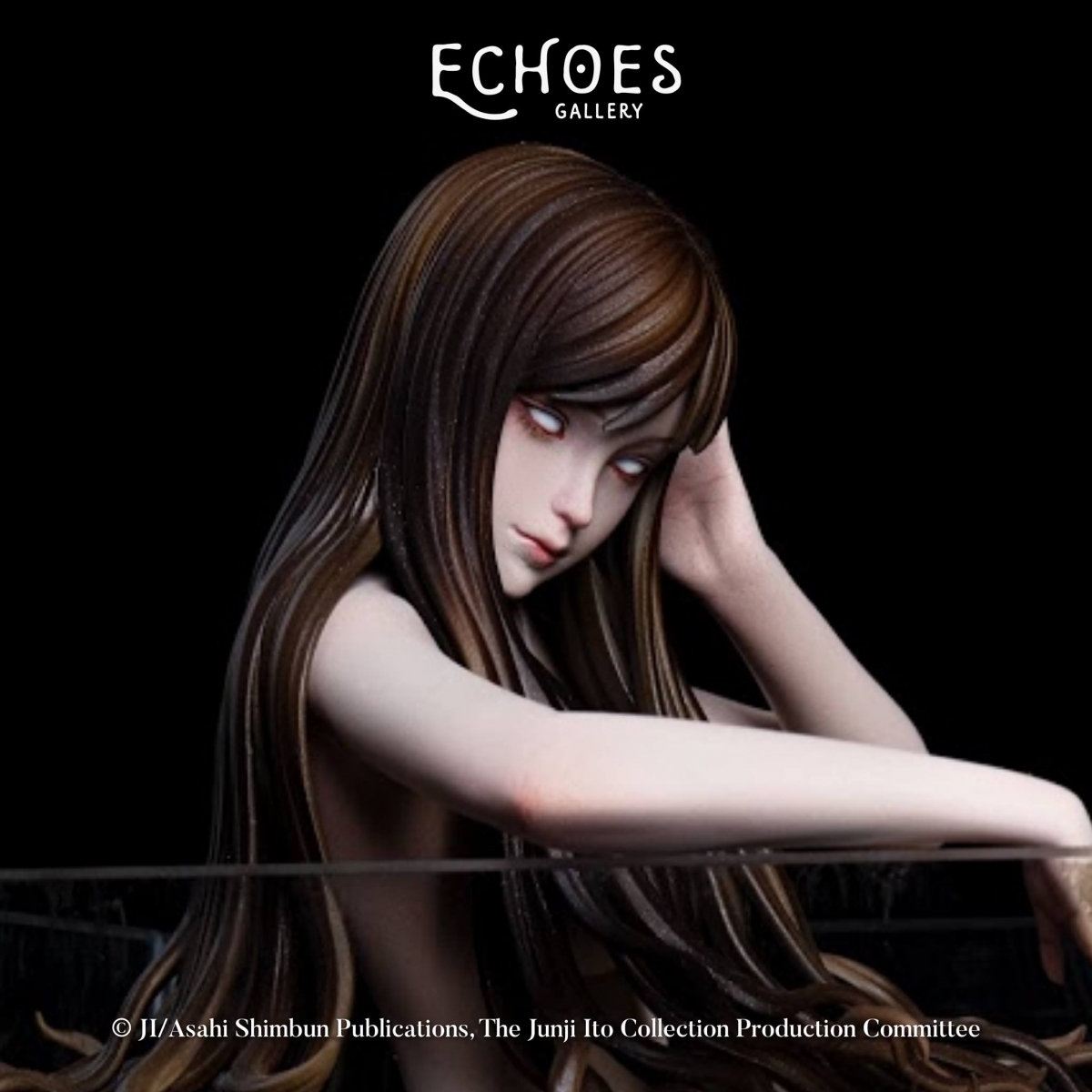 Echoes Gallery