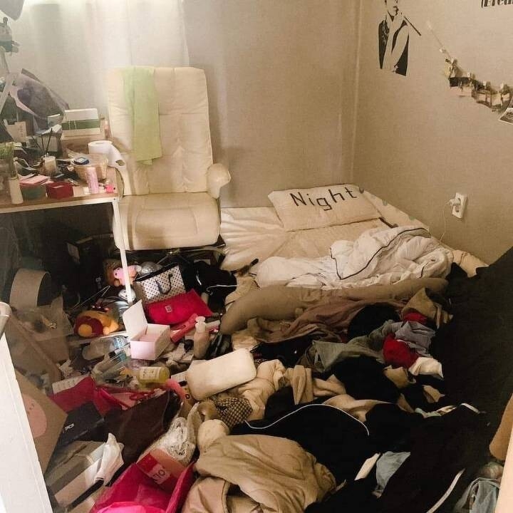 FB@대학생 너구리