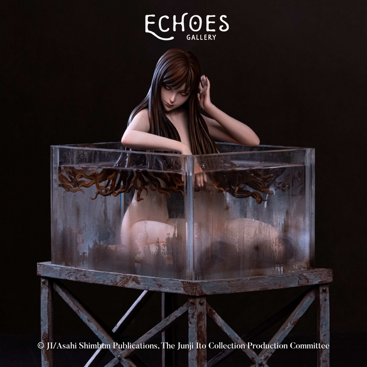 Echoes Gallery