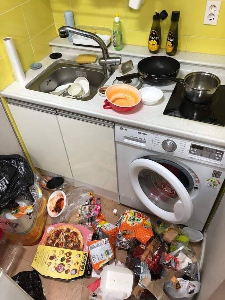 FB@대학생 너구리