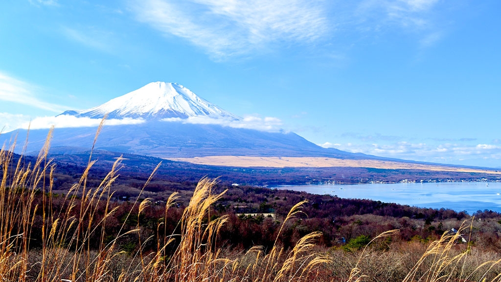 LE NIDO-ル・ニド