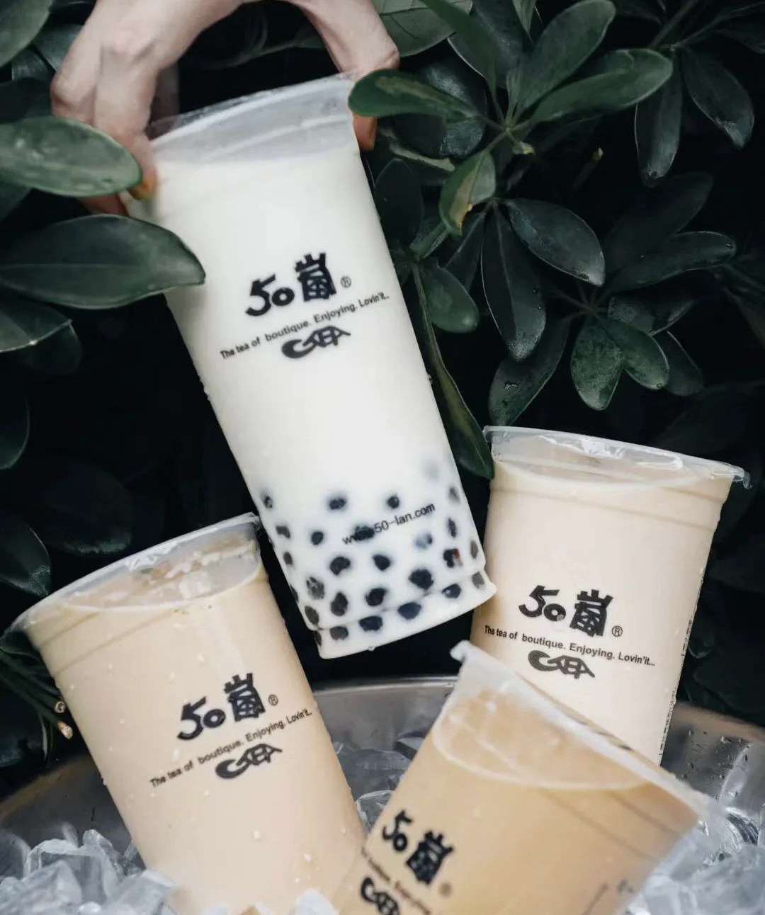 小紅書