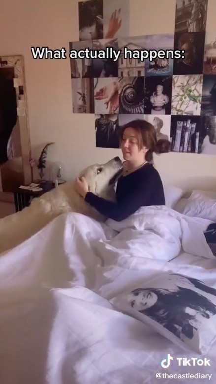 TikTok@thecastlediary