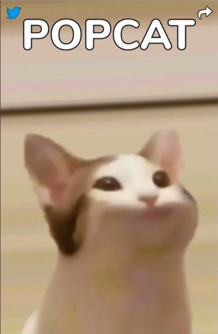 POPCAT遊戲截圖