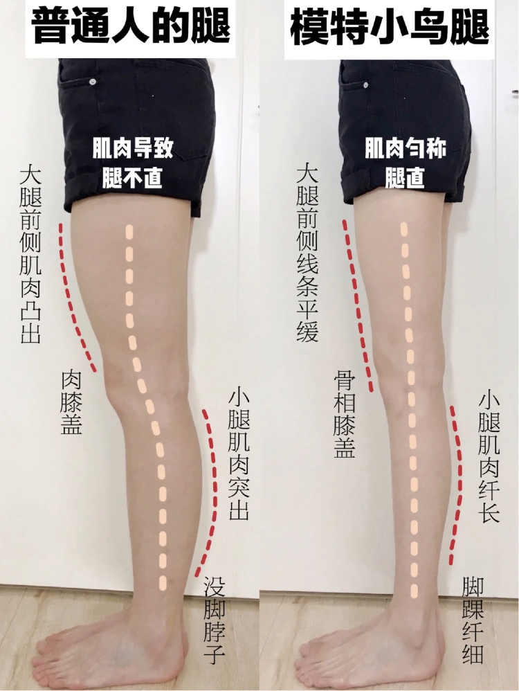 小紅書@闫露予luyu