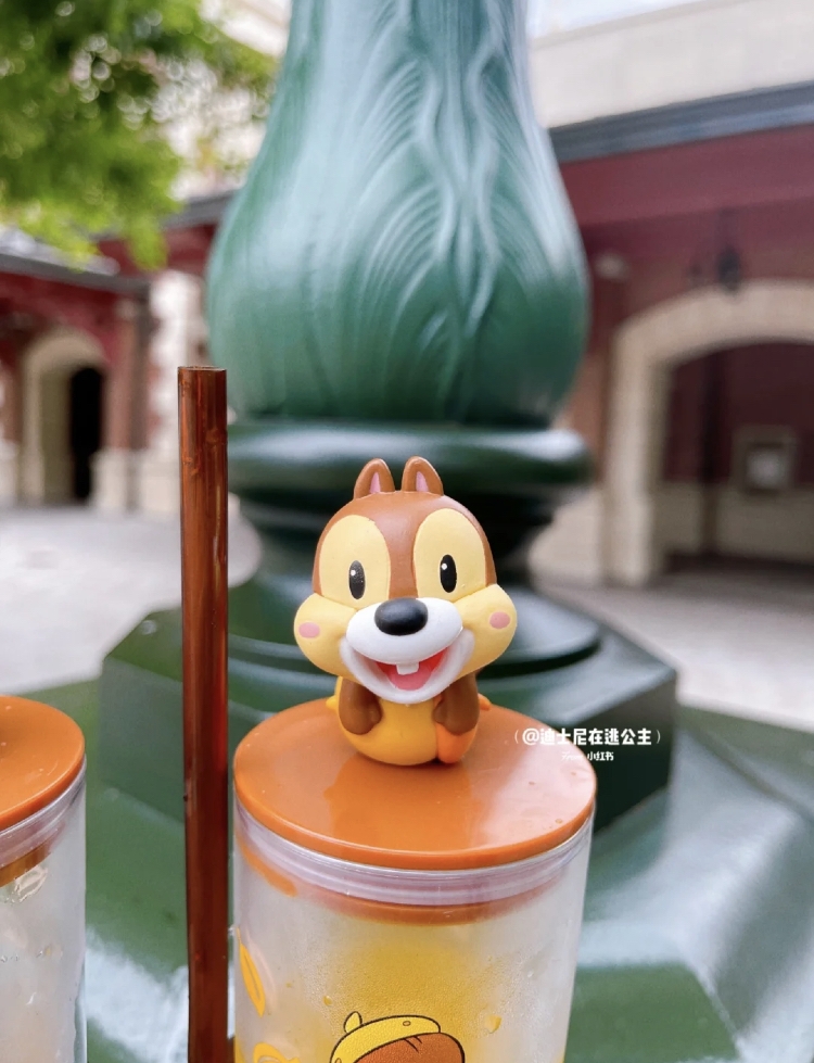 小紅書@迪士尼在逃公主