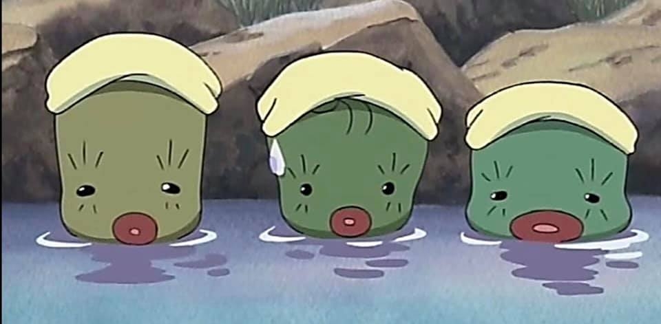 FB@觀葉植物迷交流站