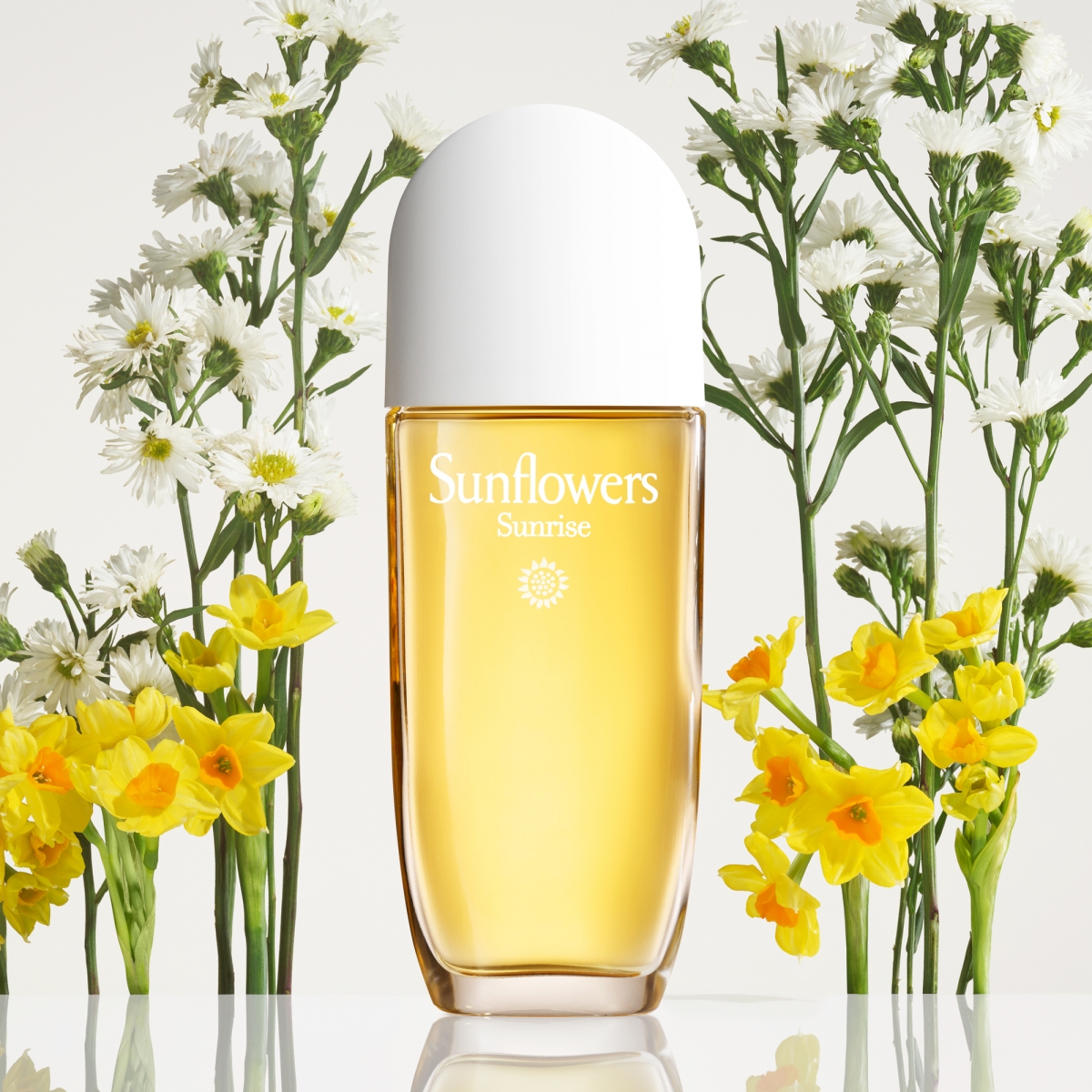 2021周年慶限定【Sunflowers日出淡香水】