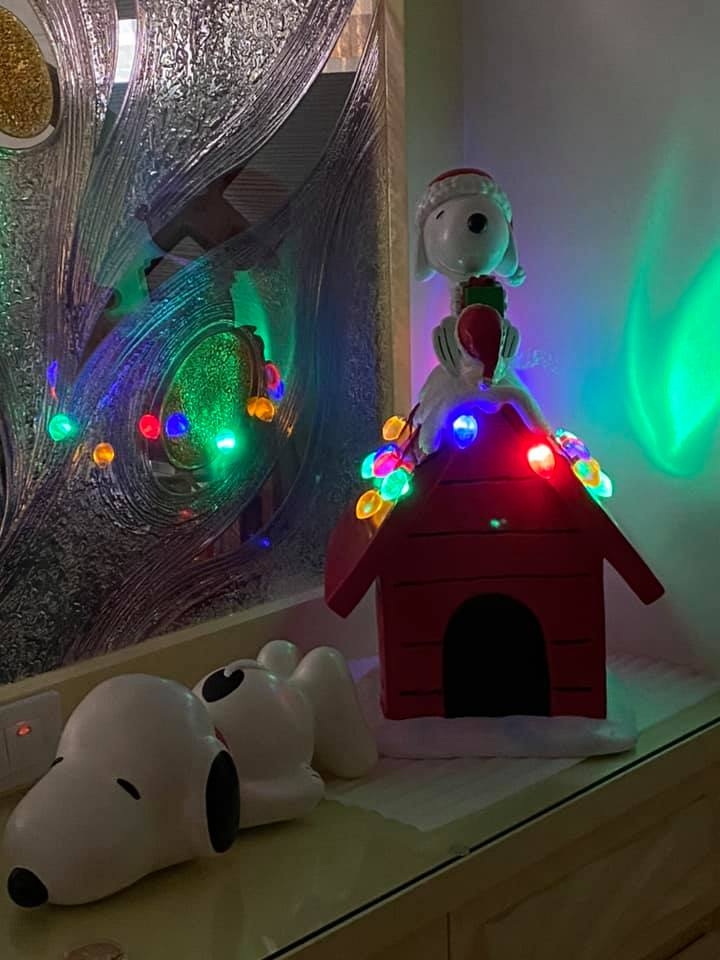 FB@Costco好市多 商品經驗老實說