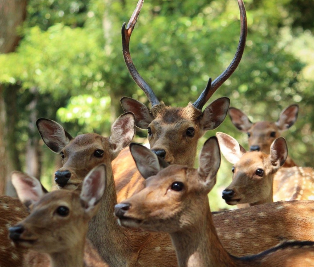 IG@naratourism_official