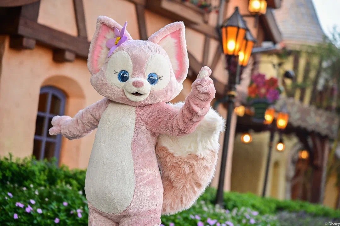 Disney Magical Kingdom Blog