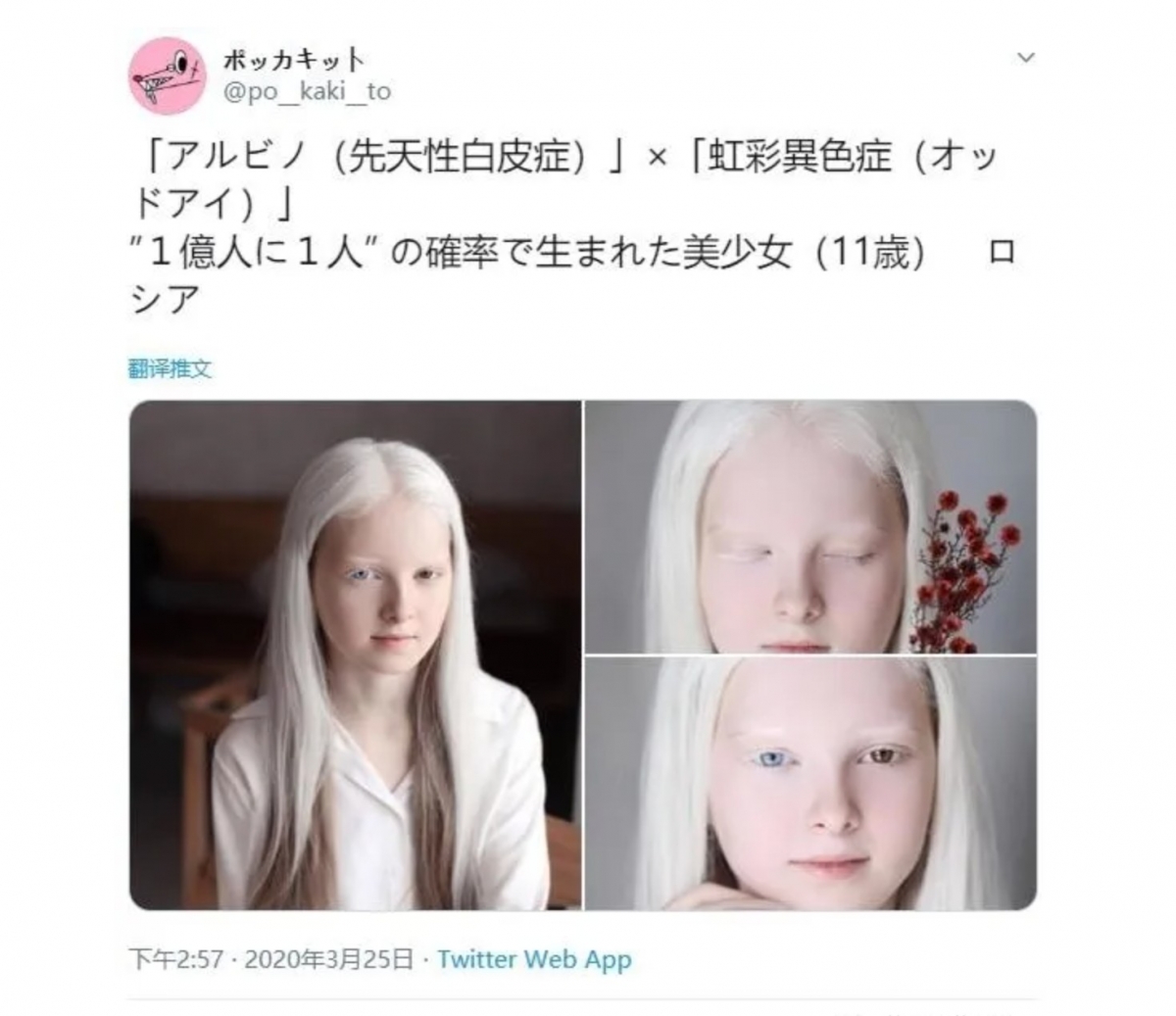Twitter@po_kaki_to