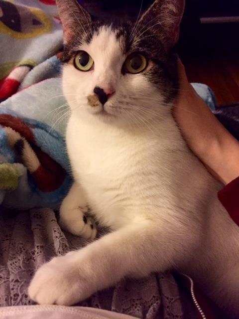 網友暖心鼓勵廣告小妹