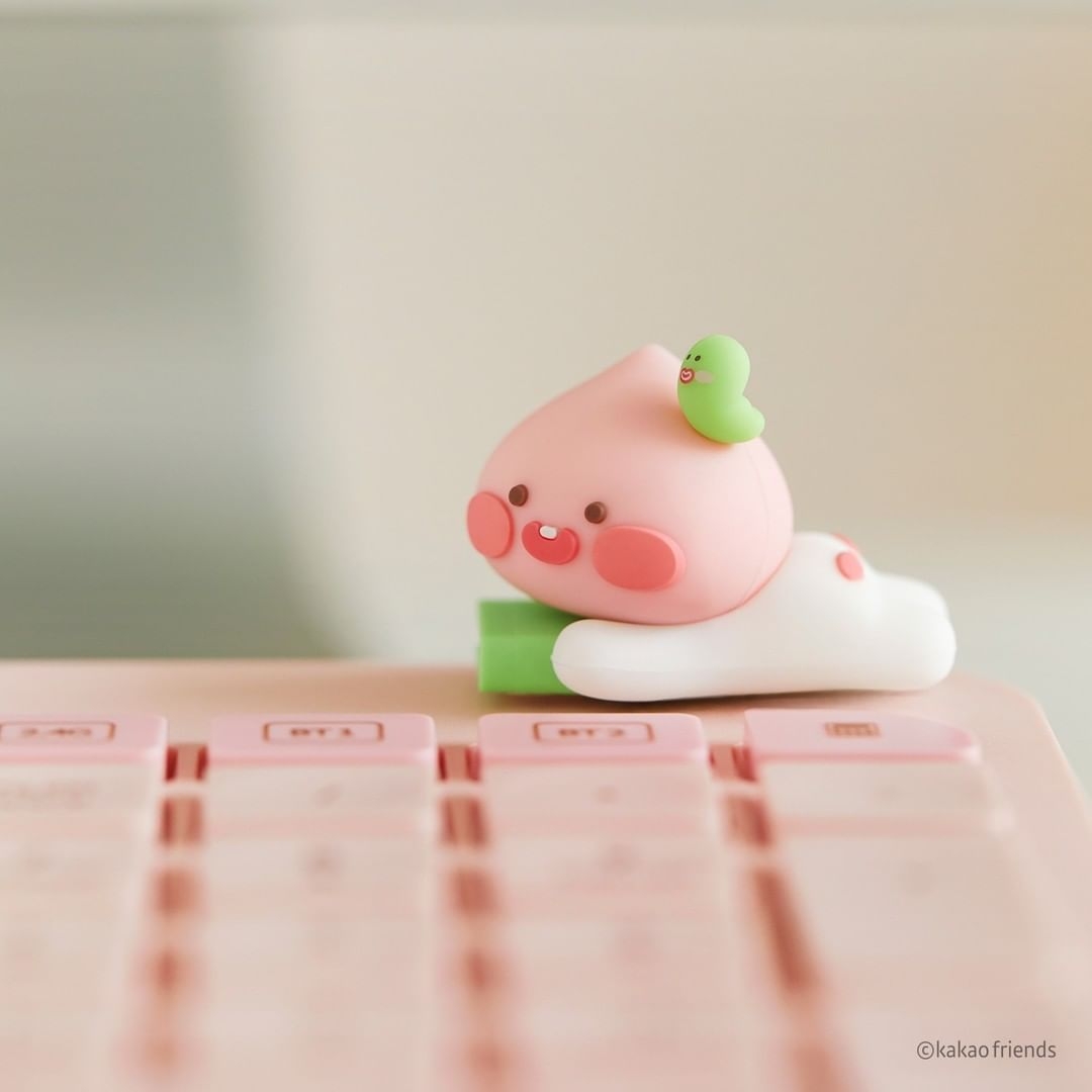 KAKAO FRIENDS