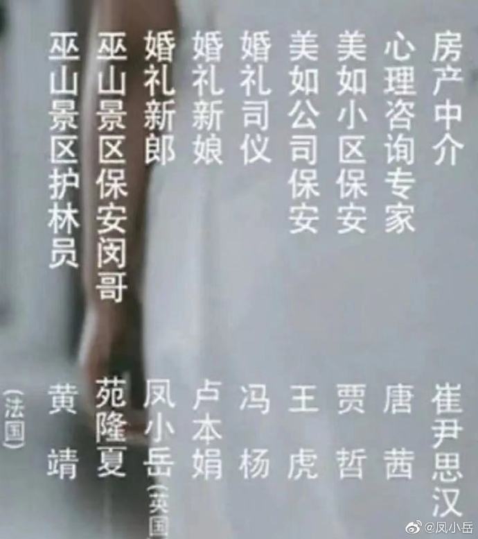 鳳小岳客串變胖