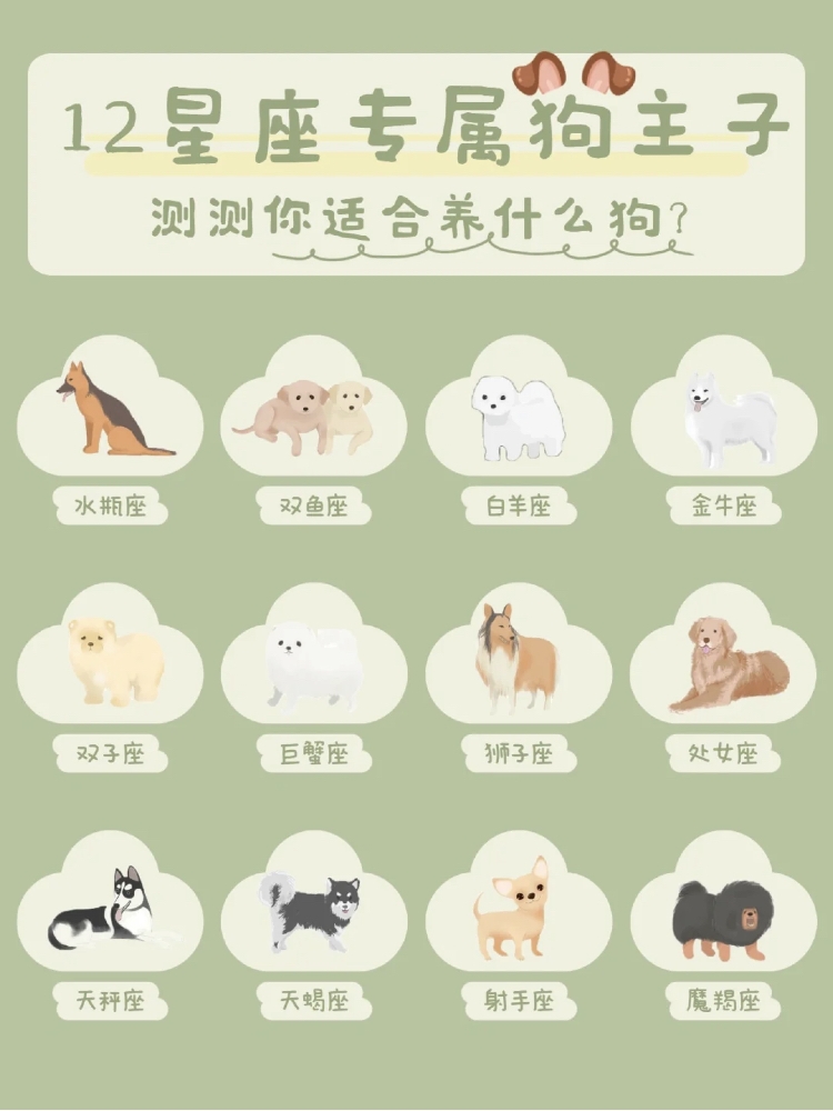 12星座配對養狗狗寵物